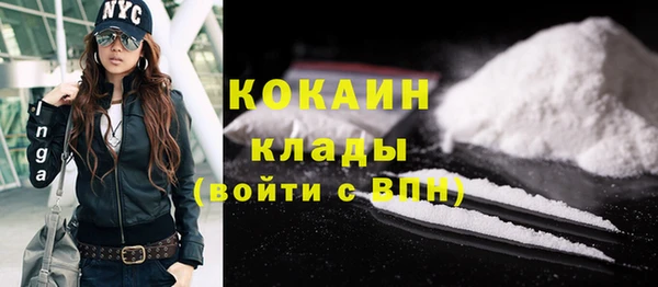 стаф Козловка
