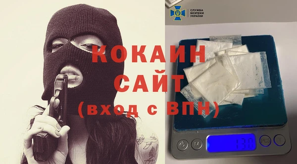 стаф Козловка