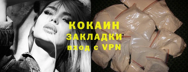 стаф Козловка