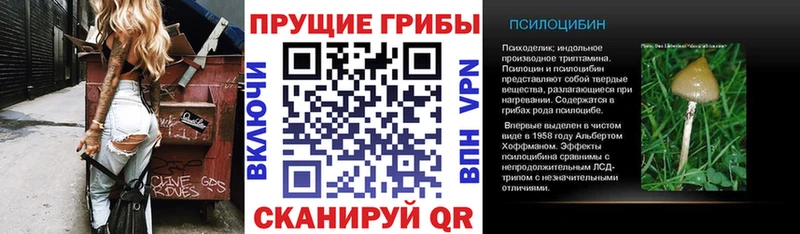 Галлюциногенные грибы мухоморы  Купить  Дальнереченск 